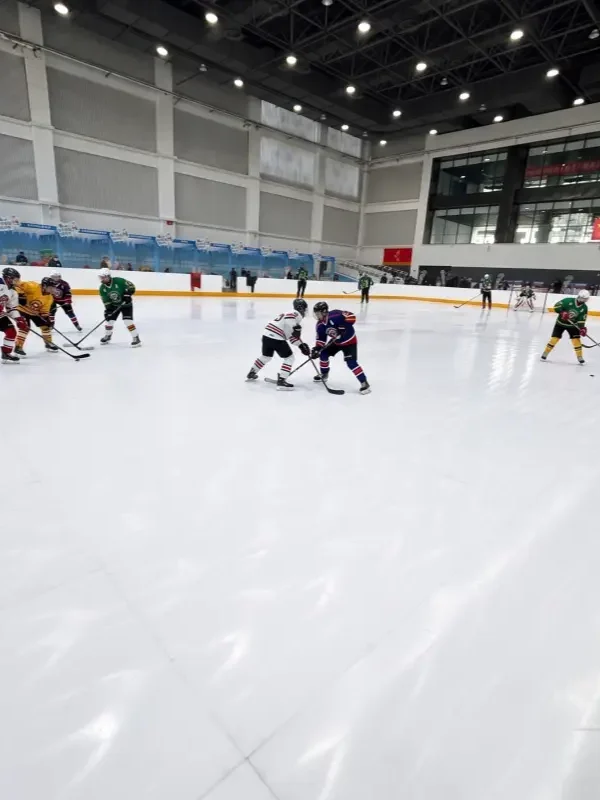 High-performance synthetic ice panels for hockey, figure skating, and recreational skating in indoor commercial rinks